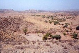 Terreno Rambo: Land for sale in Albox, Almeria