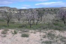 Land Almendras : Terre a vendre en Partaloa, Almeria